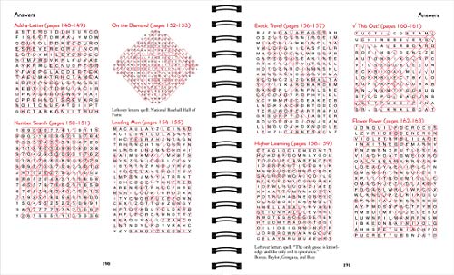 Brain Games - Word Searches - Large Print