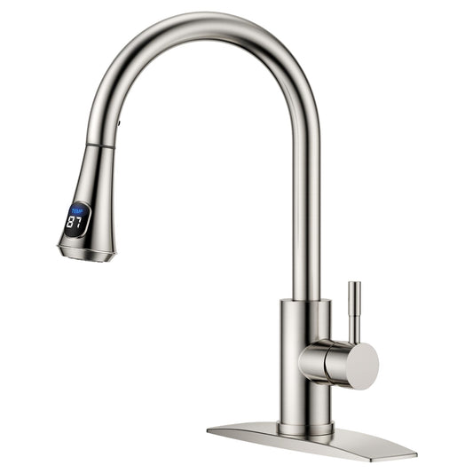 Kitchen Faucet with Pull Down Sprayer