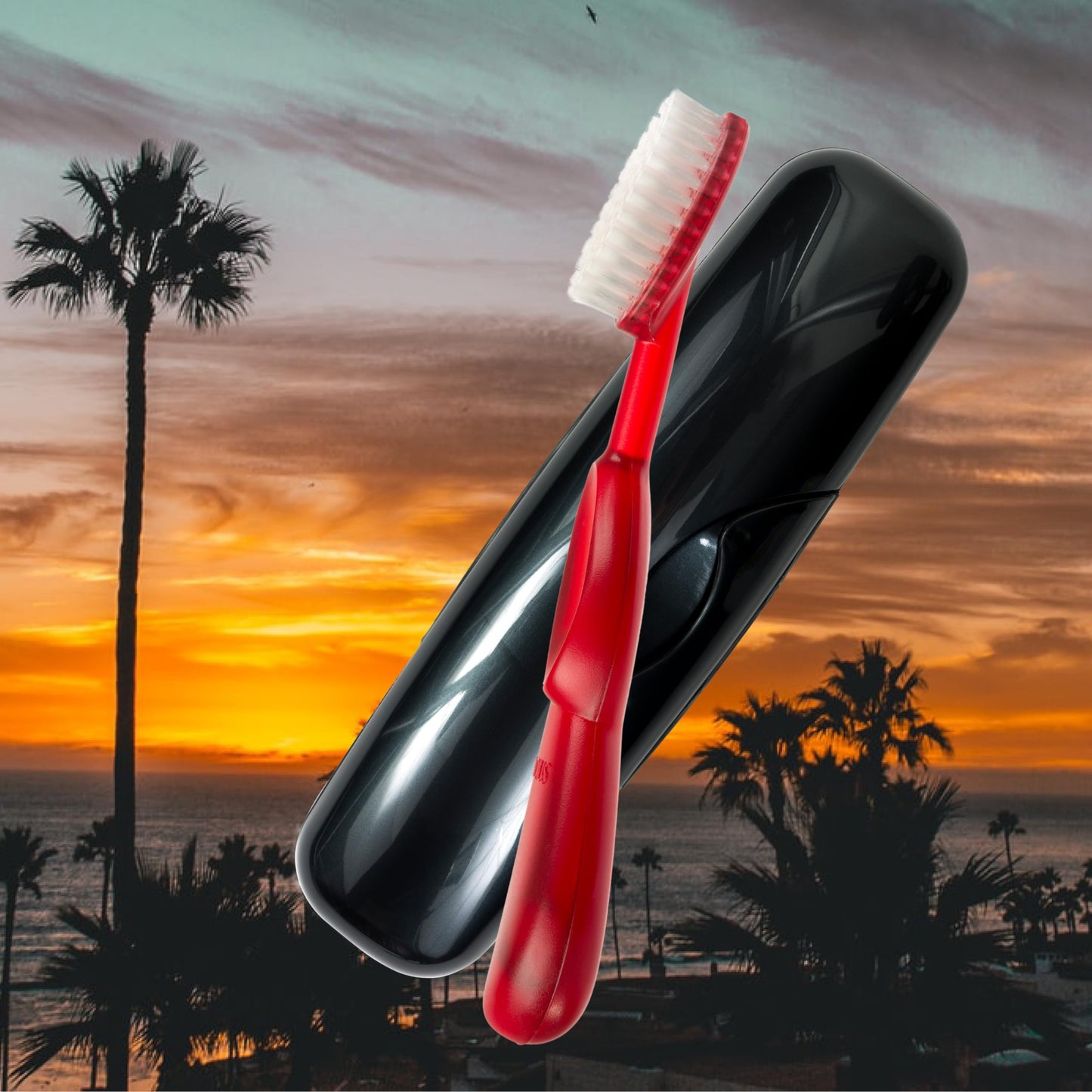 RADIUS Toothbrush Original Big Brush, BPA Free and ADA Accepted, Right Hand, Red Brush and Black Case